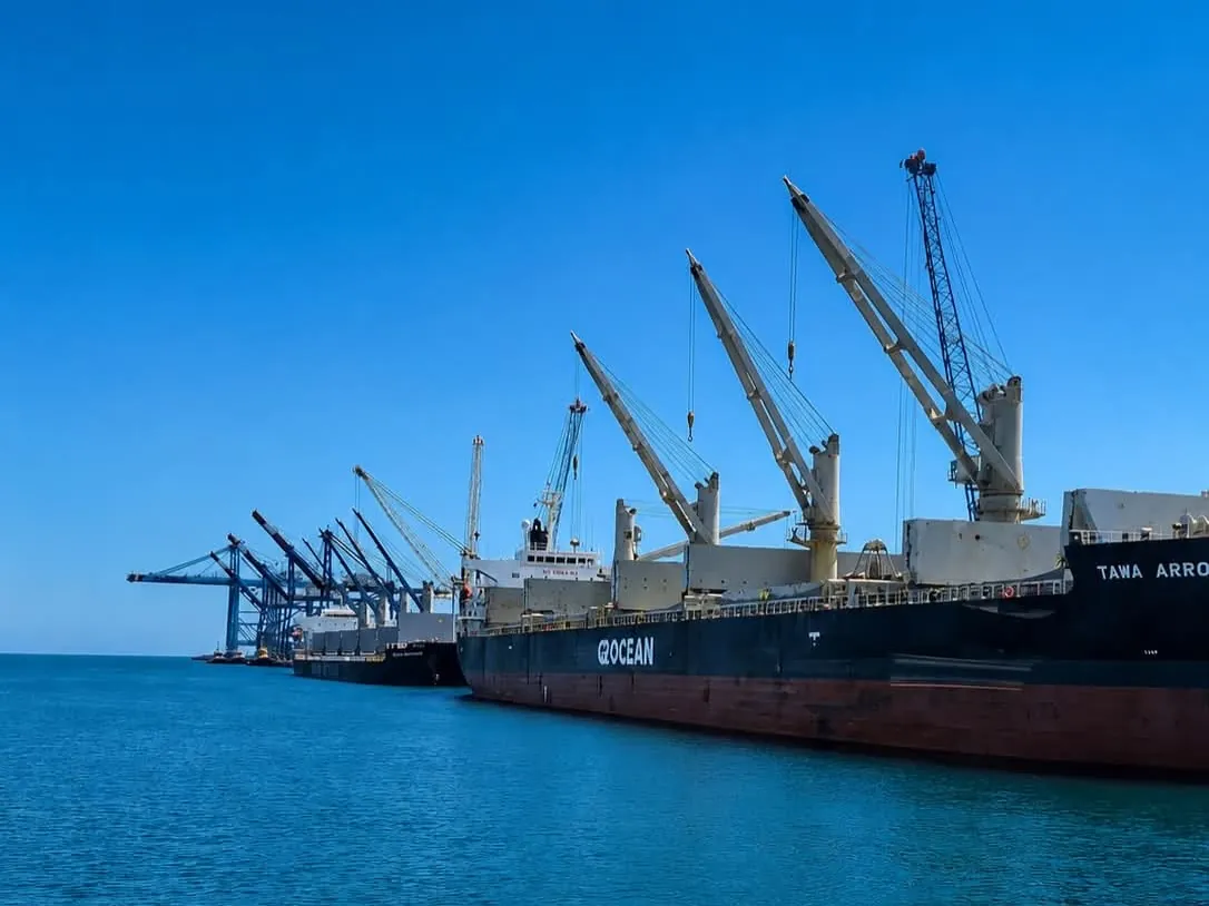 Navi da carico e gru alle banchine del Porto di Pecém, Stato del Ceará